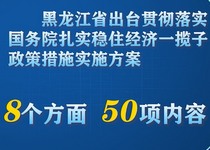 130秒速览黑龙江省稳经济一揽子政策